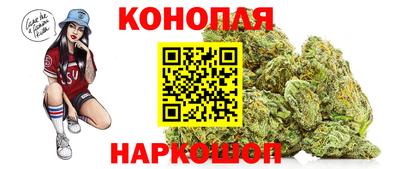 гашик Жуковский