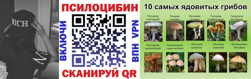 Галлюциногенные грибы Psilocybe Тосно