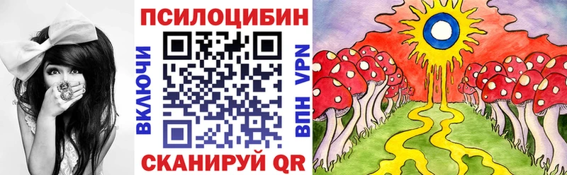 darknet какой сайт  Тосно  Галлюциногенные грибы Psilocybine cubensis 