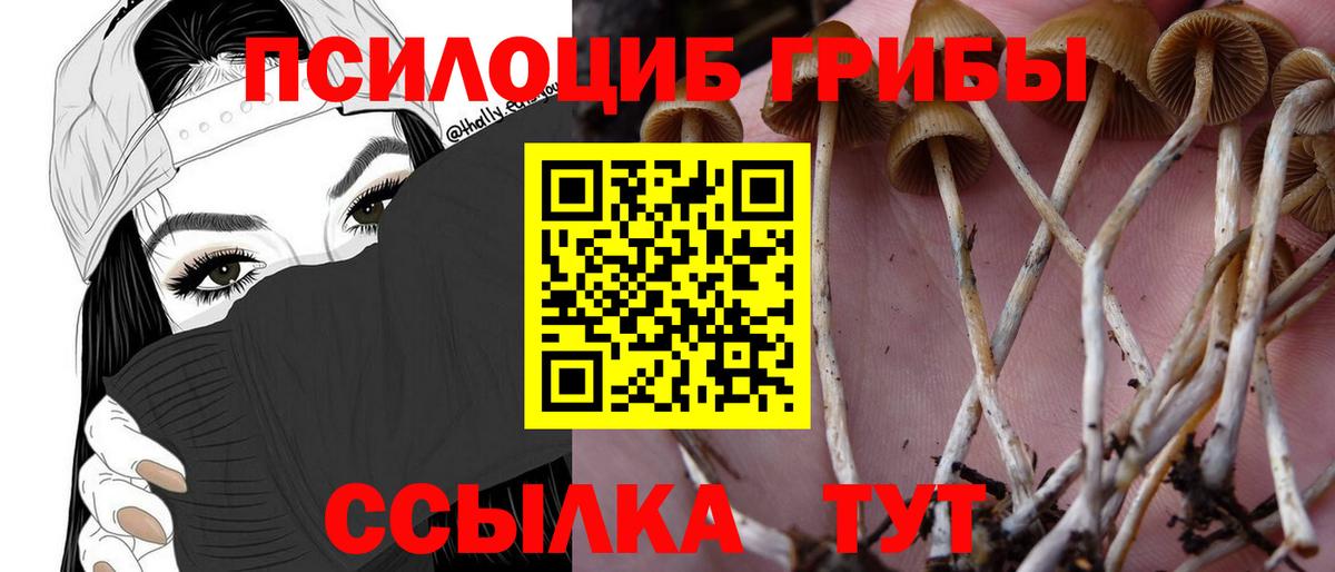 Псилоцибиновые грибы мухоморы Тосно