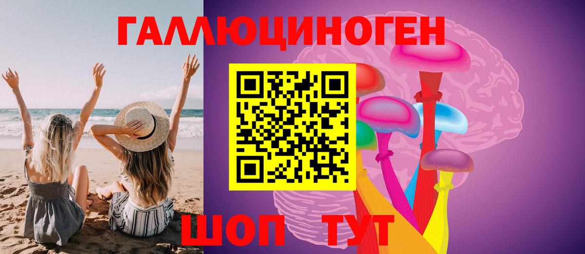 Тосно  Галлюциногенные грибы прущие грибы  Вход с VPN  Псилоцибиновые грибы мухоморы 