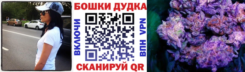 Конопля сатива Тосно