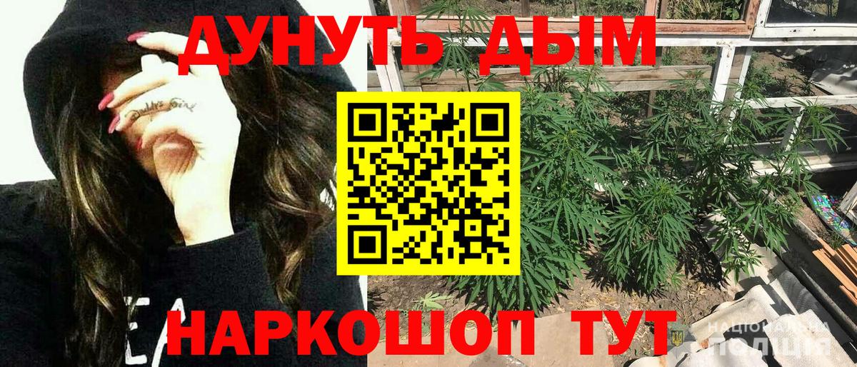 Каннабис SATIVA & INDICA Тосно